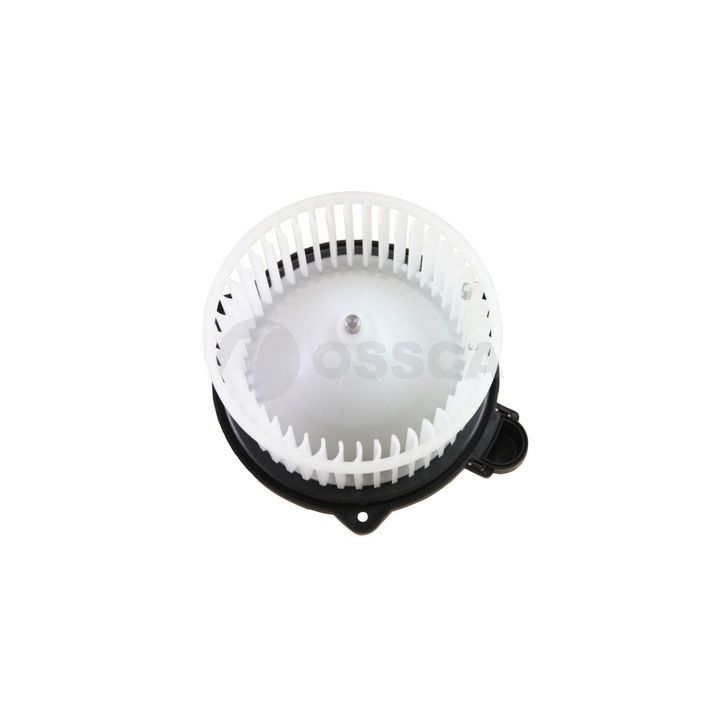 Vidaus pūtiklis OSSCA 85689