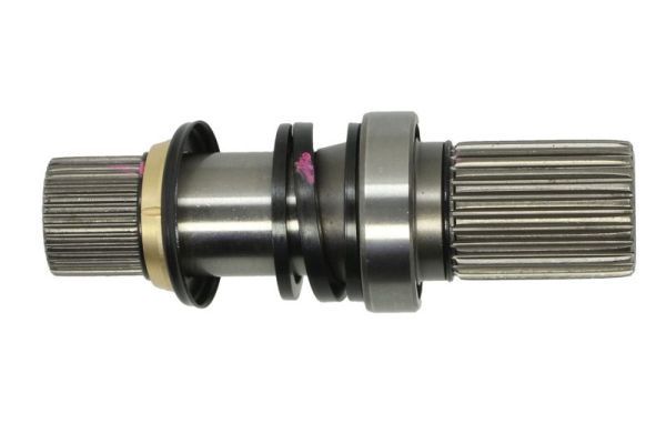 Pusašis PASCAL G2W086PC