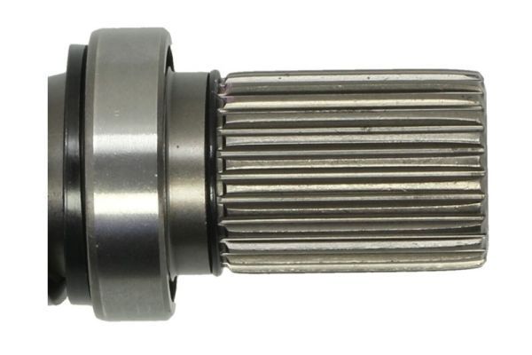 Pusašis PASCAL G2W086PC