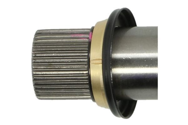 Pusašis PASCAL G2W086PC