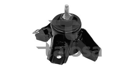 Variklio montavimas TALOSA 61-22110