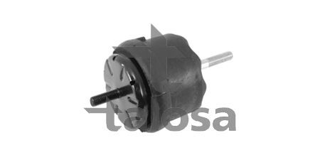Variklio montavimas TALOSA 61-22181
