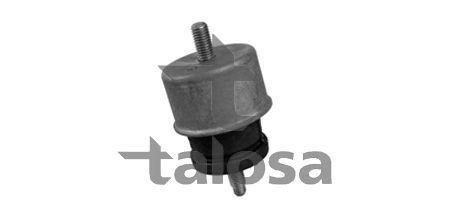 Variklio montavimas TALOSA 61-22648
