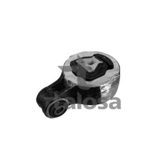 Variklio montavimas TALOSA 61-25543