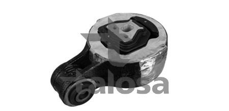 Variklio montavimas TALOSA 61-25543