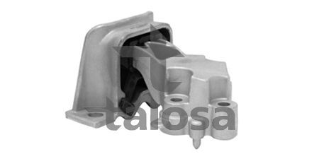 Variklio montavimas TALOSA 61-25549