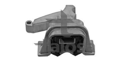 Variklio montavimas TALOSA 61-25550