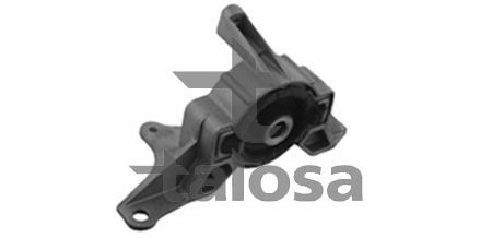 Variklio montavimas TALOSA 61-25626