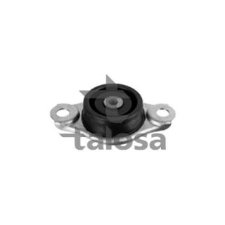 Variklio montavimas TALOSA 61-25627