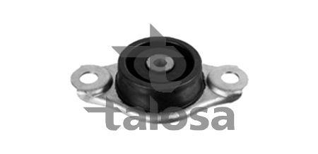 Variklio montavimas TALOSA 61-25627