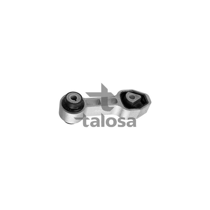 Variklio montavimas TALOSA 61-25629