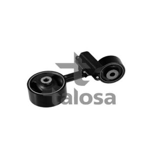 Variklio montavimas TALOSA 61-25641