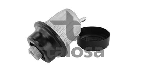 Variklio montavimas TALOSA 61-25642