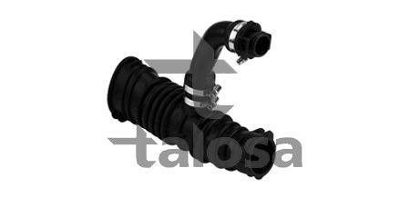 įsiurbimo vamzdis, oro filtras TALOSA 66-18827