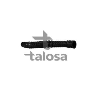 įsiurbimo vamzdis, oro filtras TALOSA 69-18909