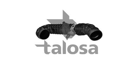 įsiurbimo vamzdis, oro filtras TALOSA 69-18919