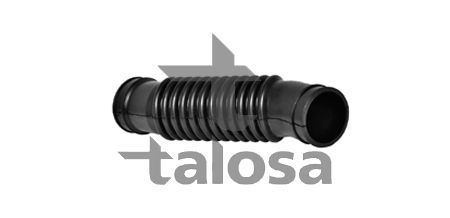 įsiurbimo vamzdis, oro filtras TALOSA 69-19288