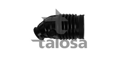 įsiurbimo vamzdis, oro filtras TALOSA 69-19375