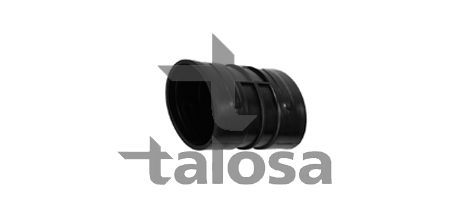 įsiurbimo vamzdis, oro filtras TALOSA 69-20033
