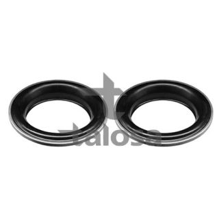 Frikcinis guolis, pakabos statramsčio atramos montavimas TALOSA 63-20971