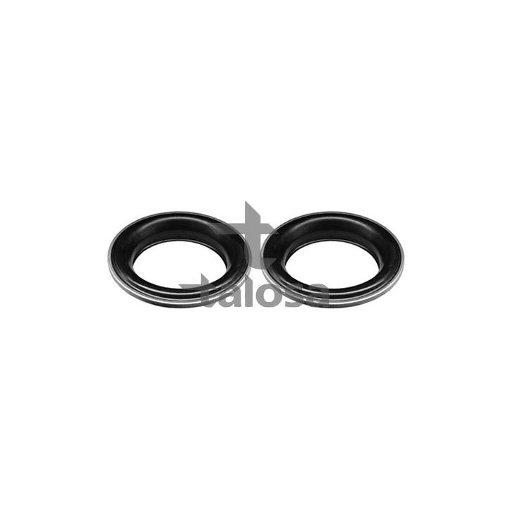 Frikcinis guolis, pakabos statramsčio atramos montavimas TALOSA 63-20971