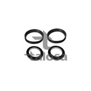 Frikcinis guolis, pakabos statramsčio atramos montavimas TALOSA 63-21050