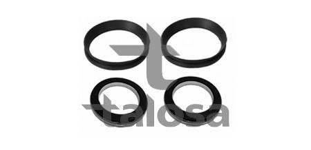 Frikcinis guolis, pakabos statramsčio atramos montavimas TALOSA 63-21050