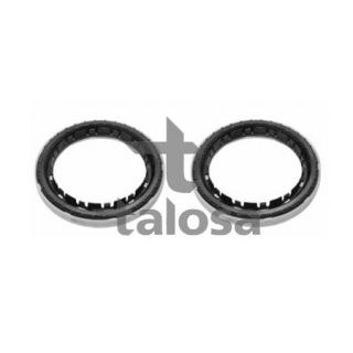 Frikcinis guolis, pakabos statramsčio atramos montavimas TALOSA 63-21073