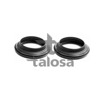 Frikcinis guolis, pakabos statramsčio atramos montavimas TALOSA 63-21213