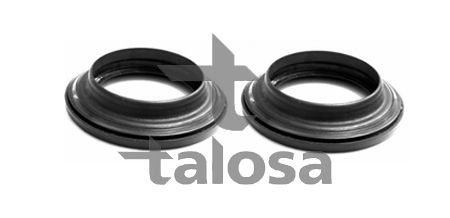 Frikcinis guolis, pakabos statramsčio atramos montavimas TALOSA 63-21213