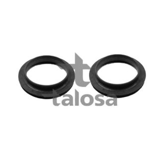 Frikcinis guolis, pakabos statramsčio atramos montavimas TALOSA 63-21214