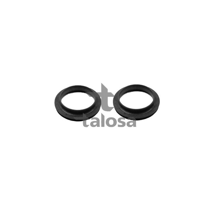 Frikcinis guolis, pakabos statramsčio atramos montavimas TALOSA 63-21214