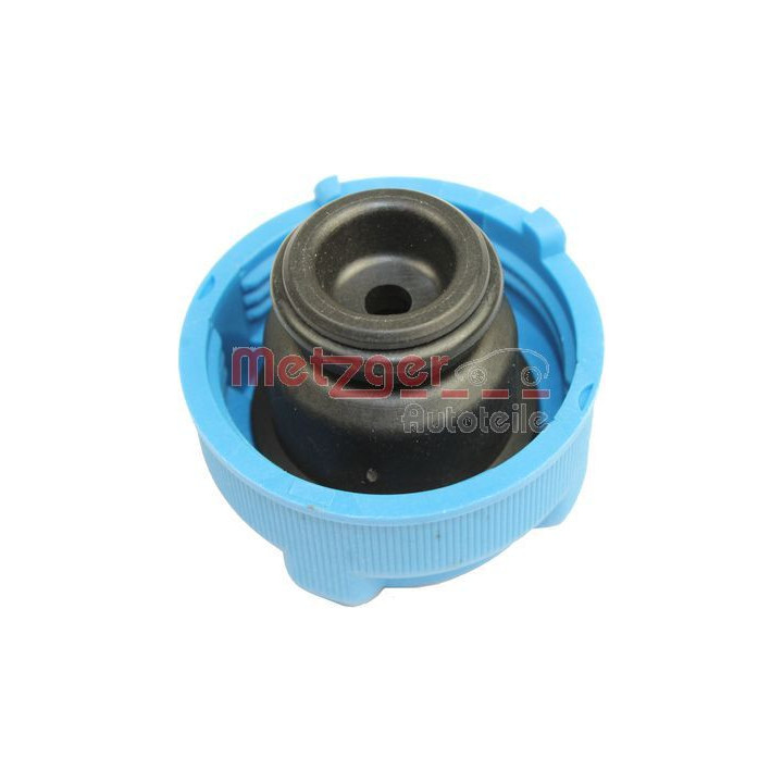 Dangtelis, radiatorius METZGER 2140057