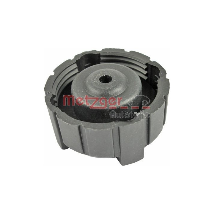 Dangtelis, radiatorius METZGER 2140103