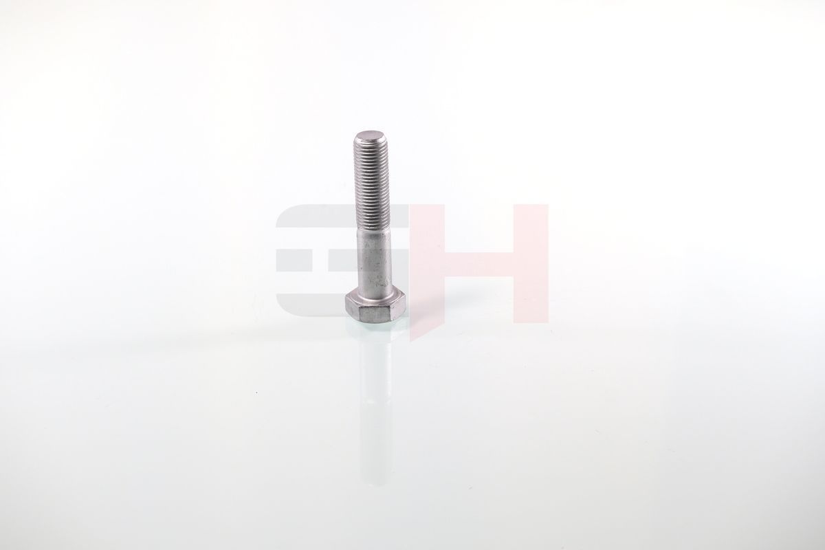 Varžtas, ašies kakliukas GH GH-392360