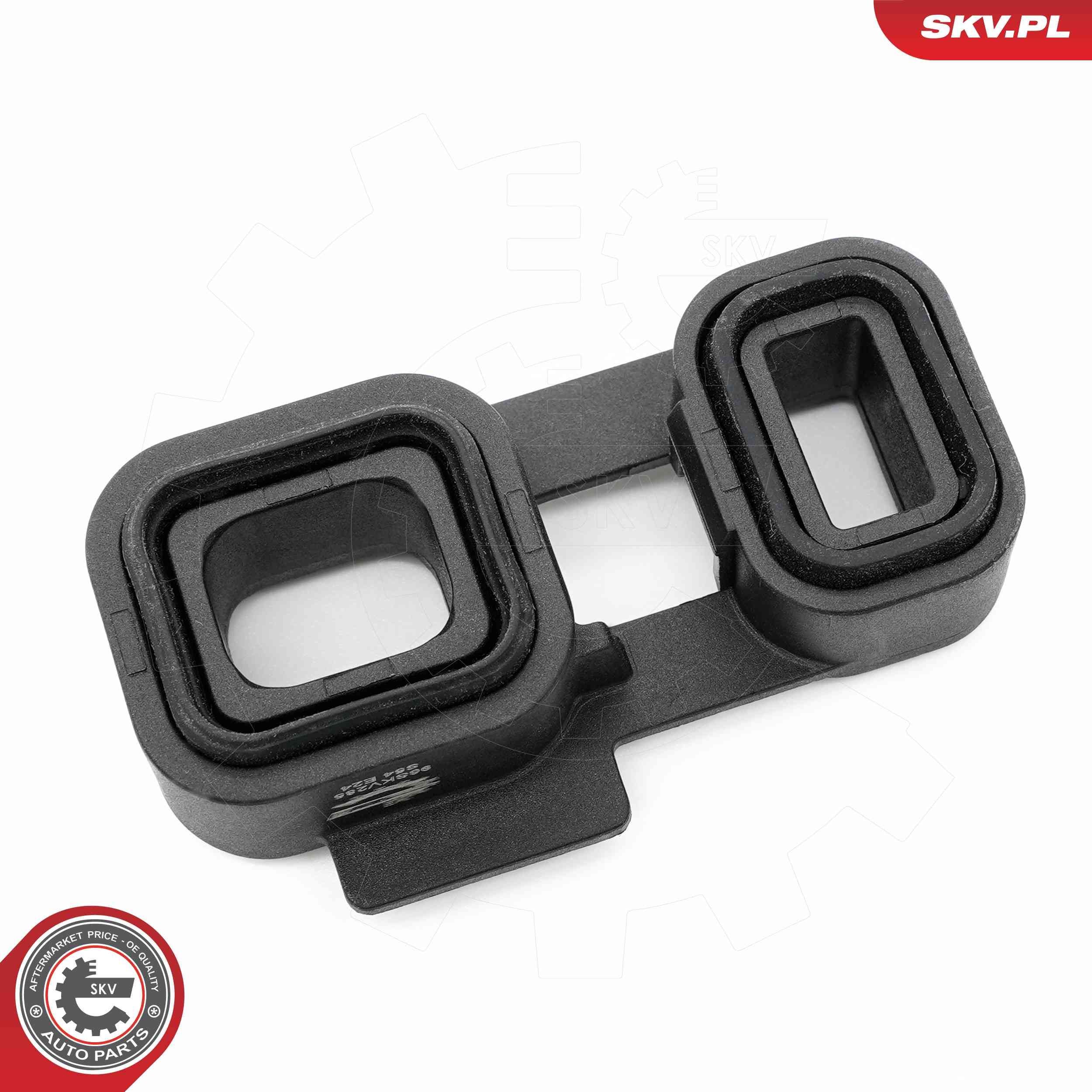 Alyvos tarpiklis, automatinė pavarų dėžė ESEN SKV 96SKV285