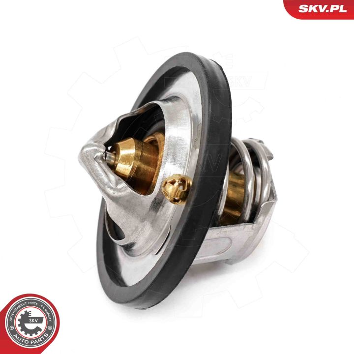 Termostatas, aušinimo skystis ESEN SKV 20SKV218