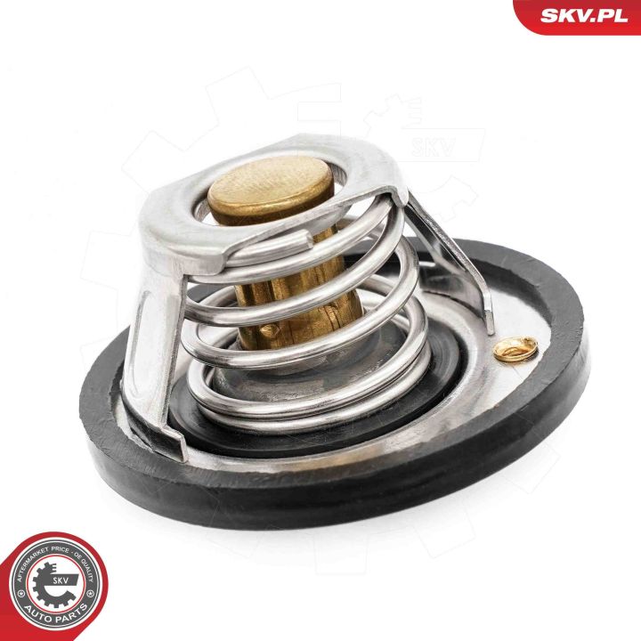 Termostatas, aušinimo skystis ESEN SKV 20SKV218
