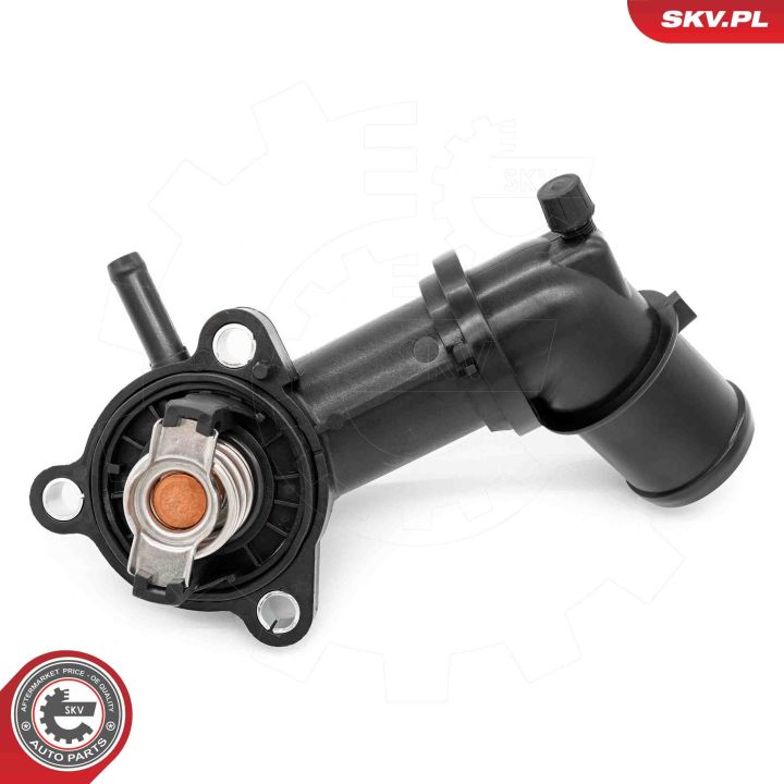 Termostatas, aušinimo skystis ESEN SKV 20SKV224