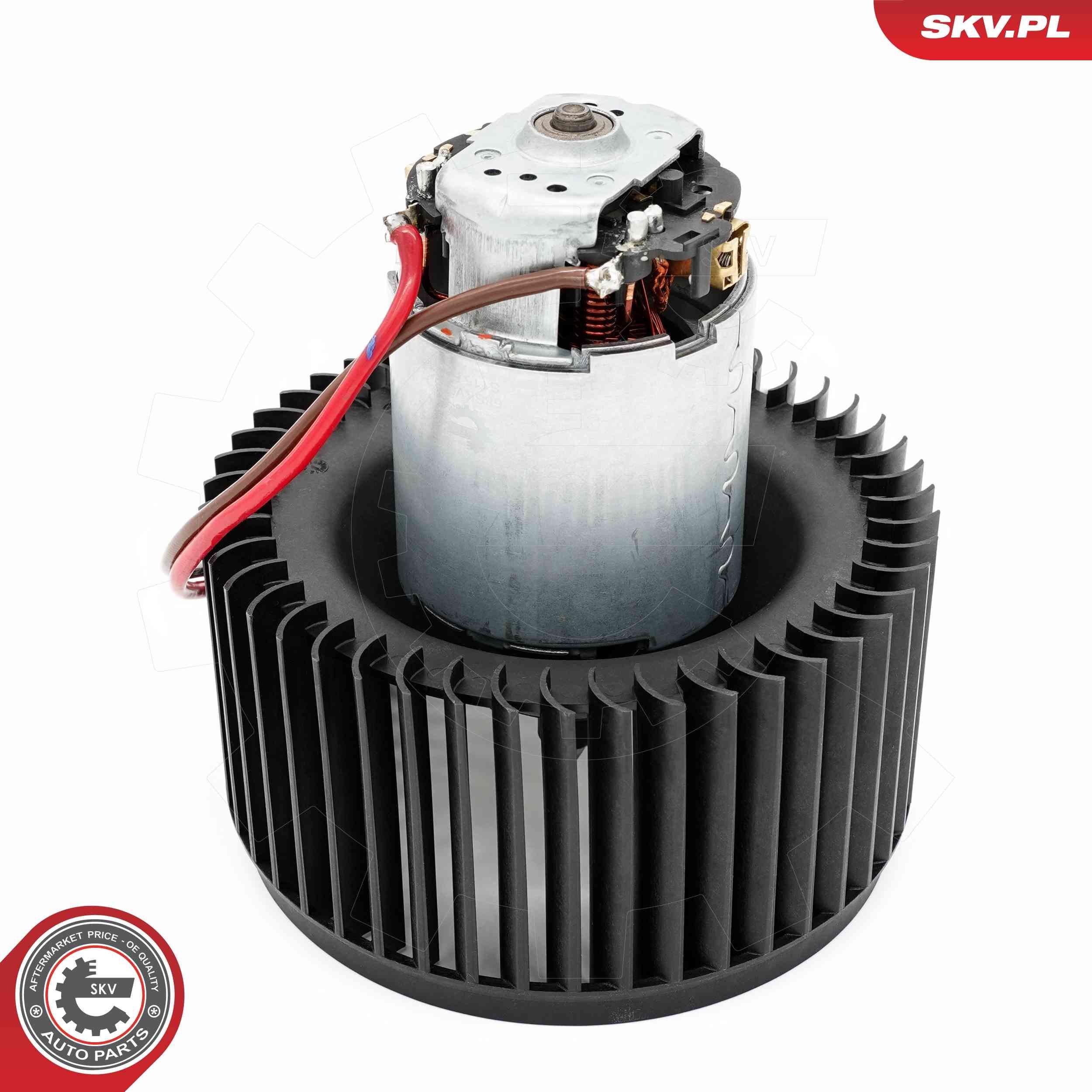 Vidaus pūtiklis ESEN SKV 68SKV016