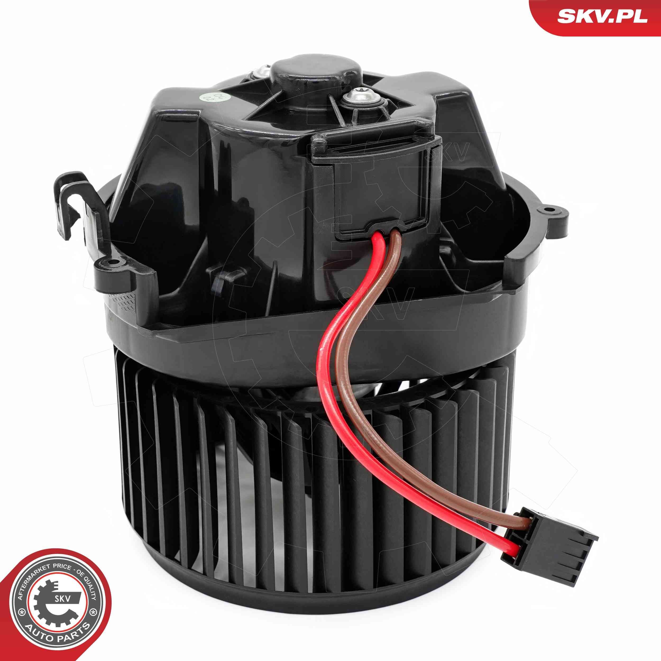 Vidaus pūtiklis ESEN SKV 68SKV021