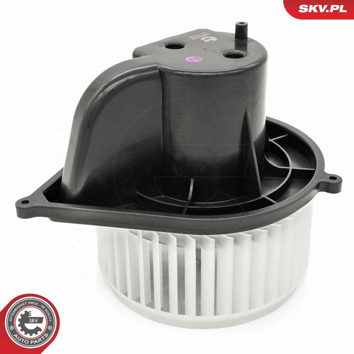 Vidaus pūtiklis ESEN SKV 68SKV028