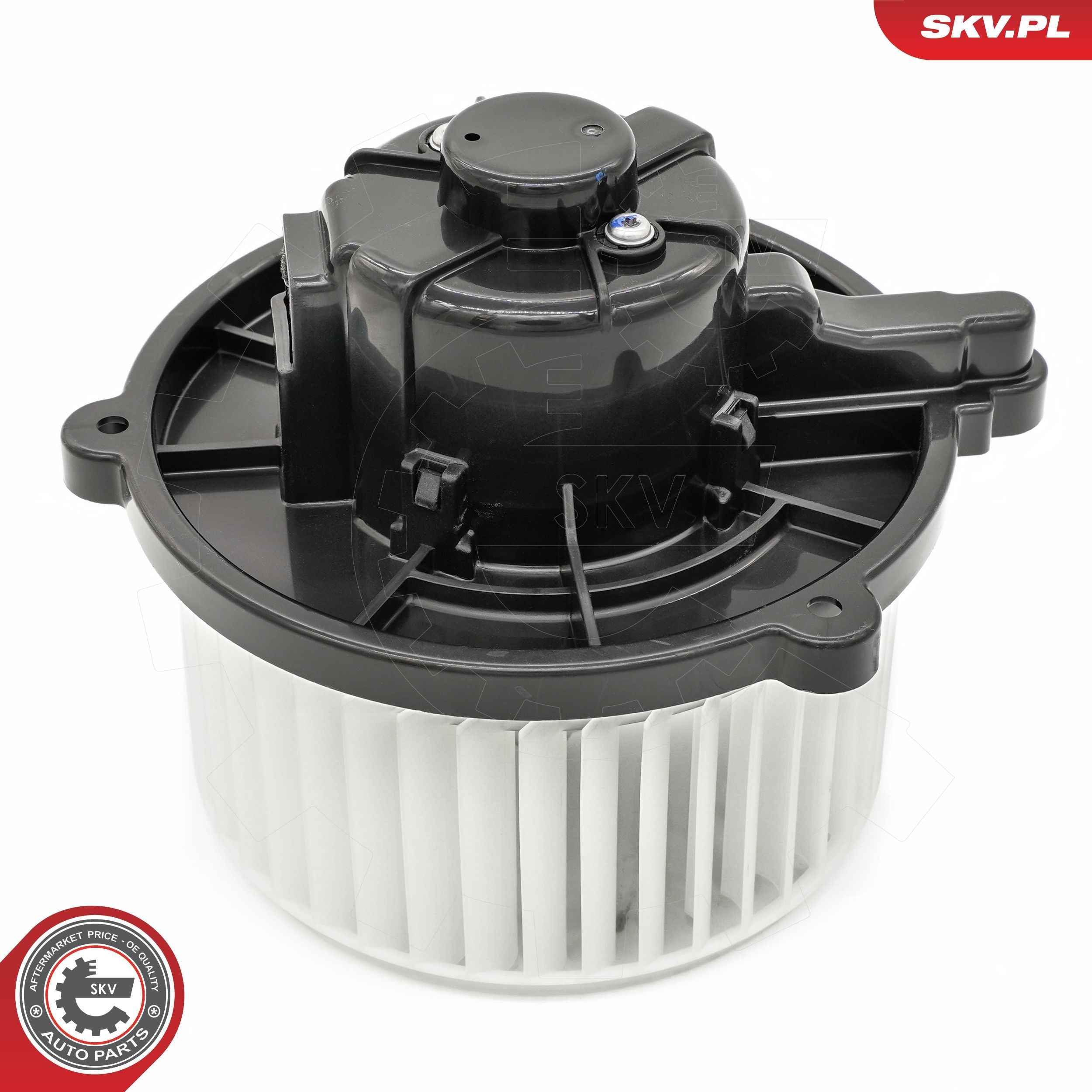 Vidaus pūtiklis ESEN SKV 68SKV048