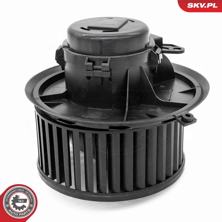 Vidaus pūtiklis ESEN SKV 68SKV074