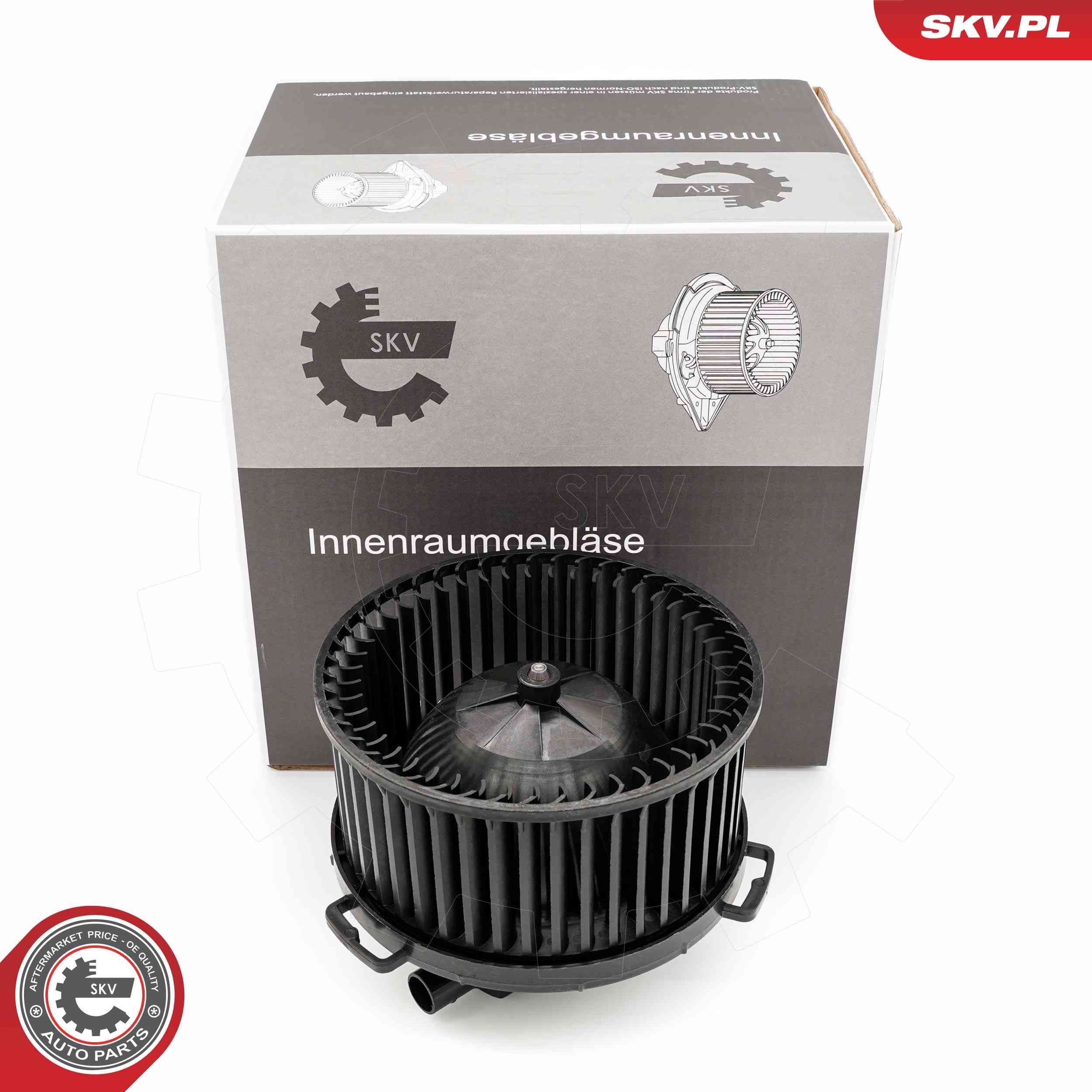 Vidaus pūtiklis ESEN SKV 68SKV101