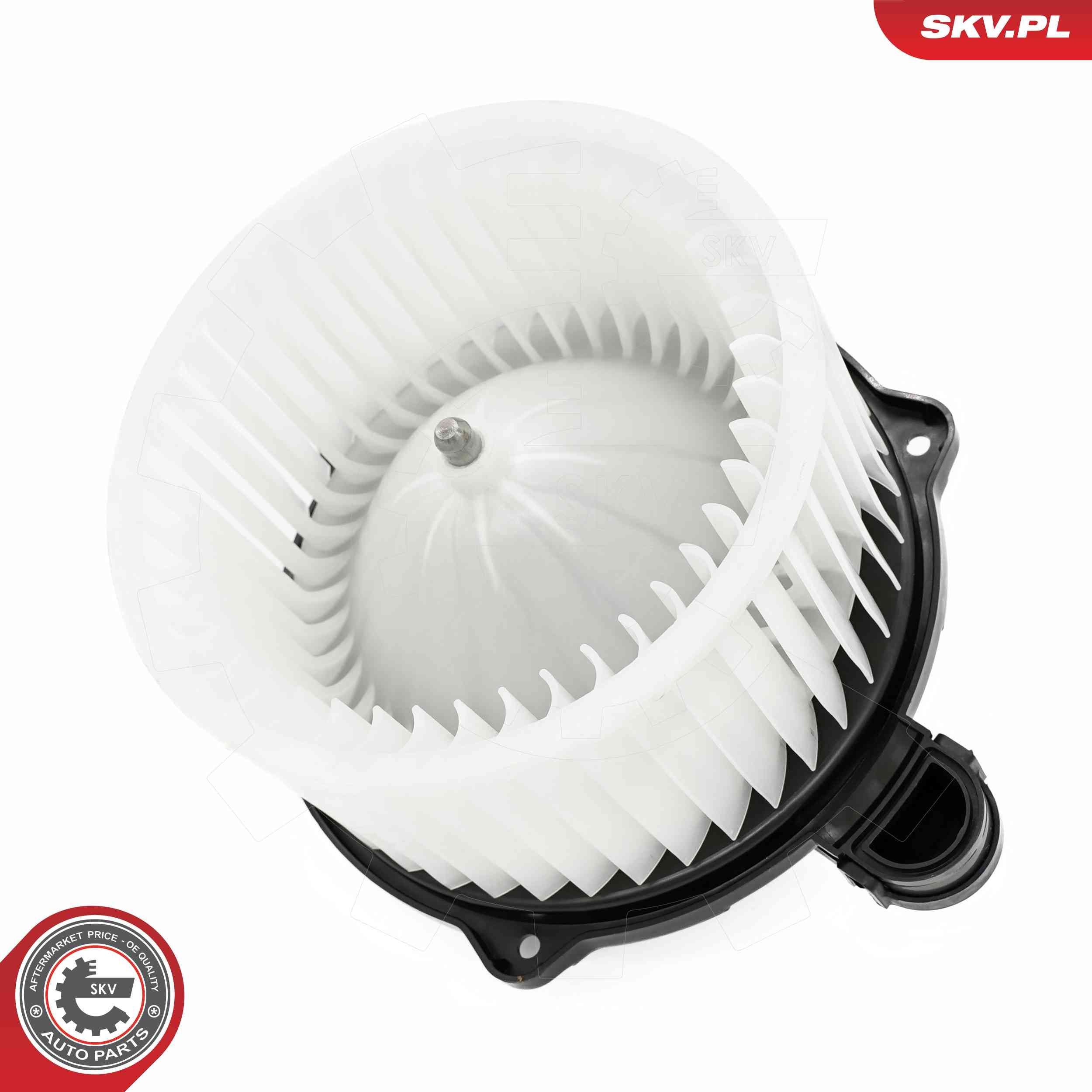 Vidaus pūtiklis ESEN SKV 68SKV171