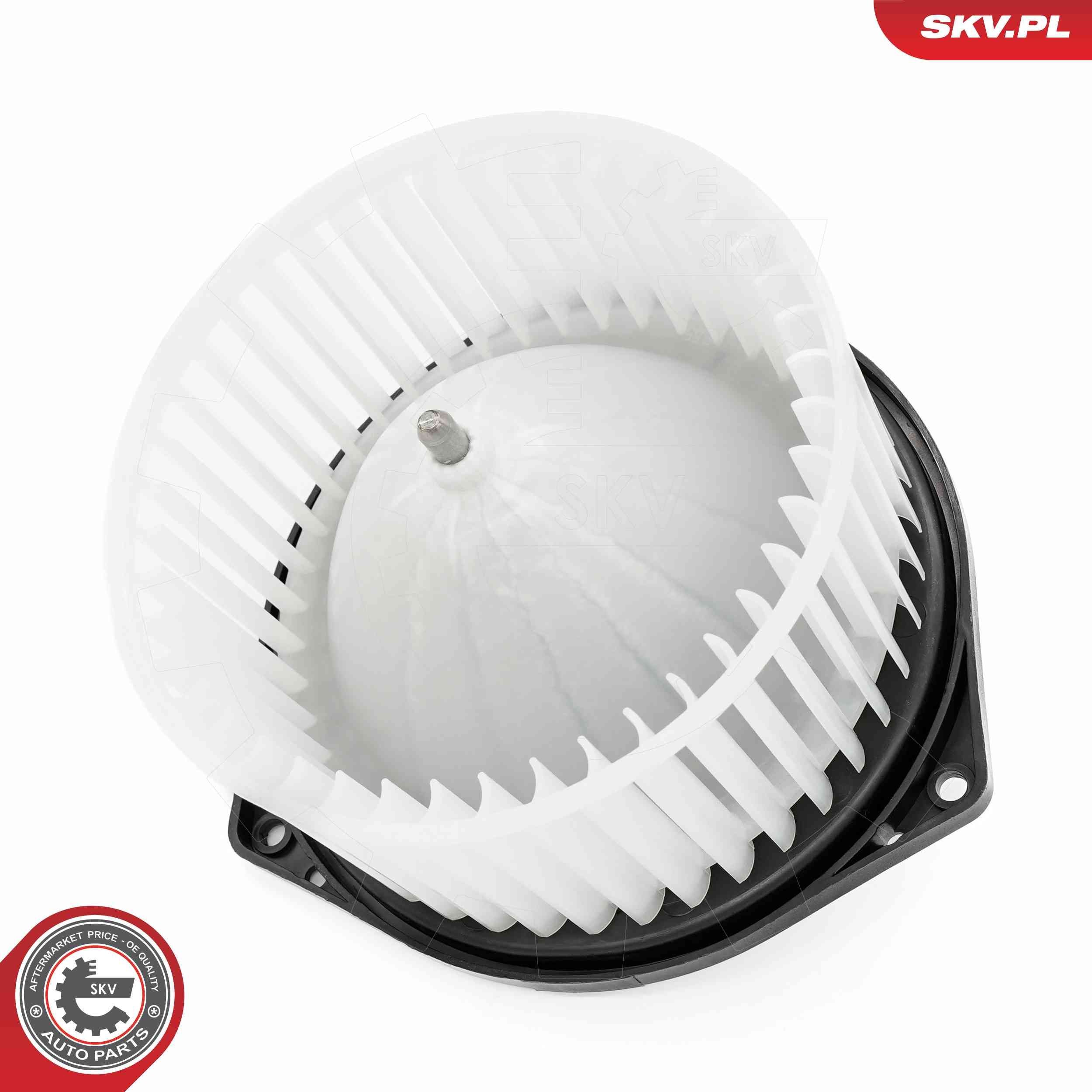 Vidaus pūtiklis ESEN SKV 68SKV203