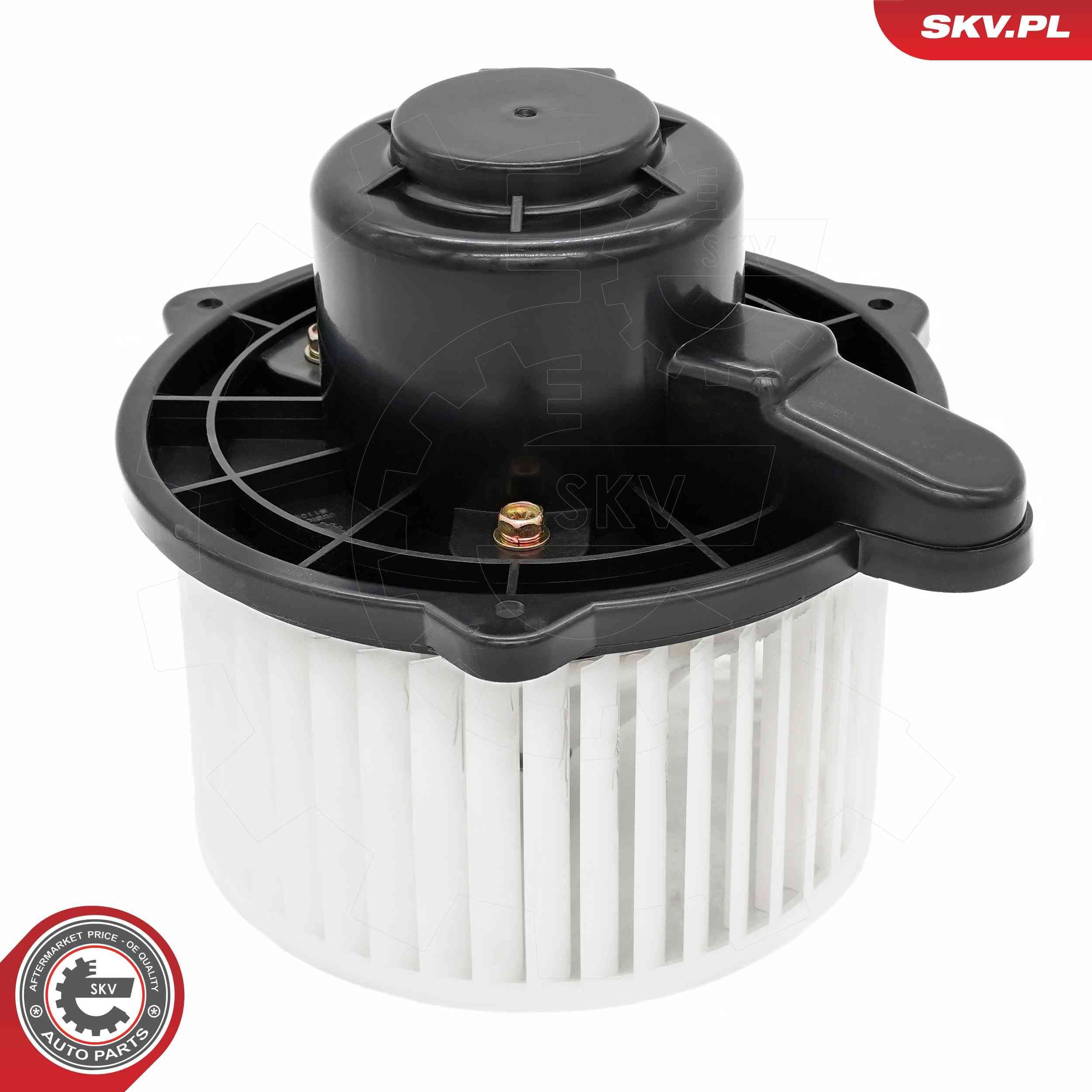 Vidaus pūtiklis ESEN SKV 68SKV215