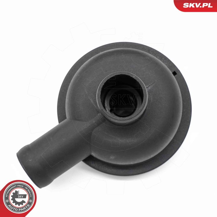 Vožtuvas, variklio bloko alsuoklis ESEN SKV 31SKV405
