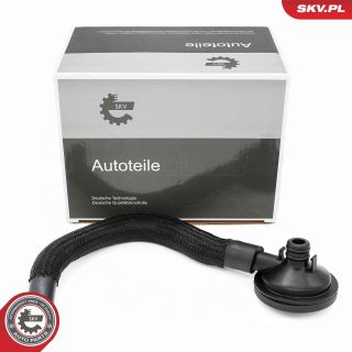 Vožtuvas, variklio bloko alsuoklis ESEN SKV 31SKV420